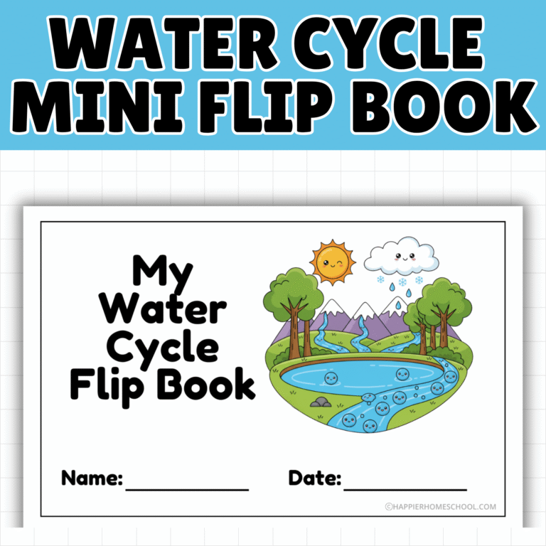 Free Water Cycle Flip Book