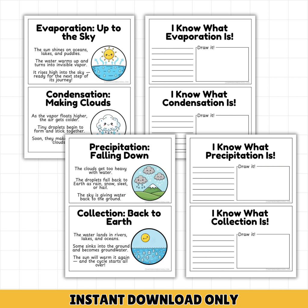 Free Water Cycle Flip Book