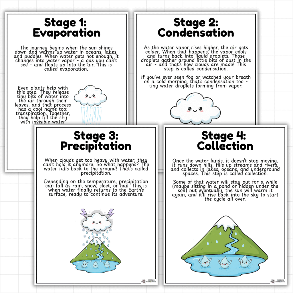 What Is the Water Cycle