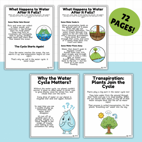 What Is the Water Cycle