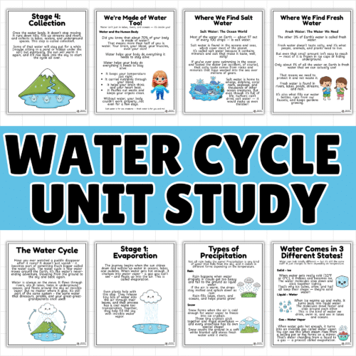 Water Cycle for Kids