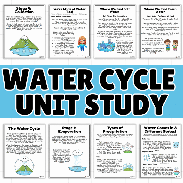 Water Cycle for Kids