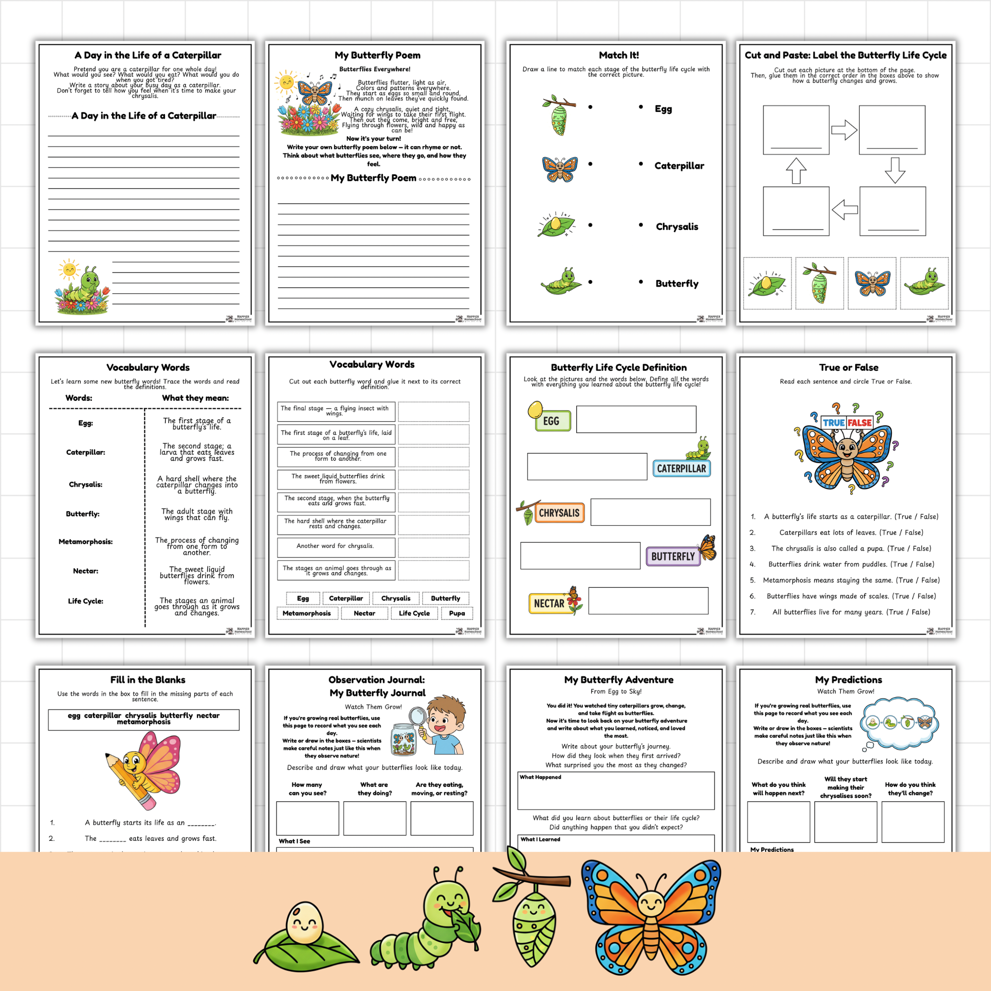 Free Butterfly Life Cycle