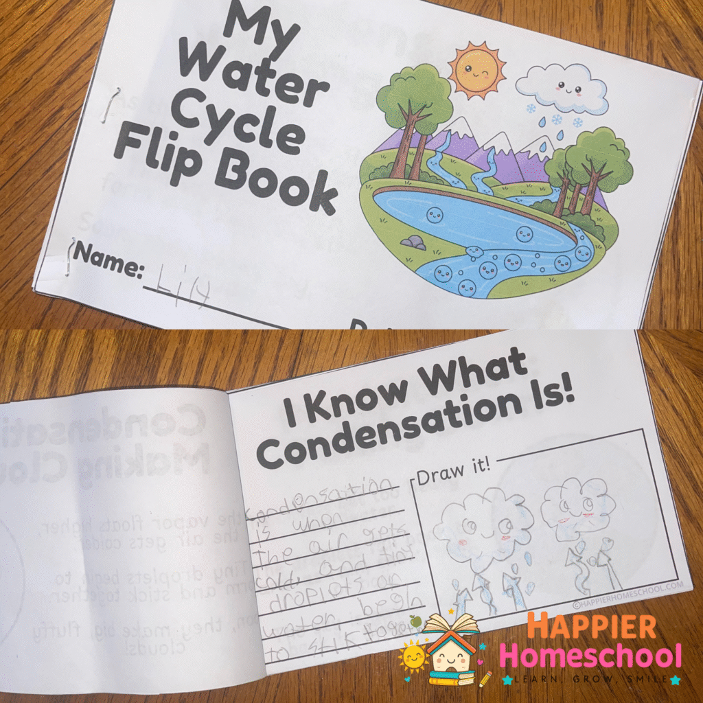 free water cycle flip book