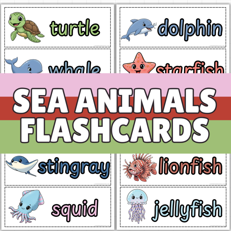 sea animals flashcards