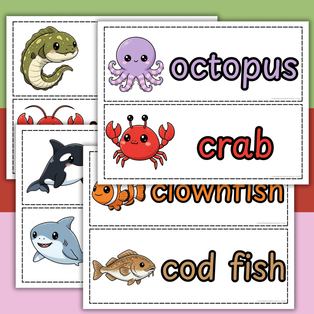 sea animals flashcards