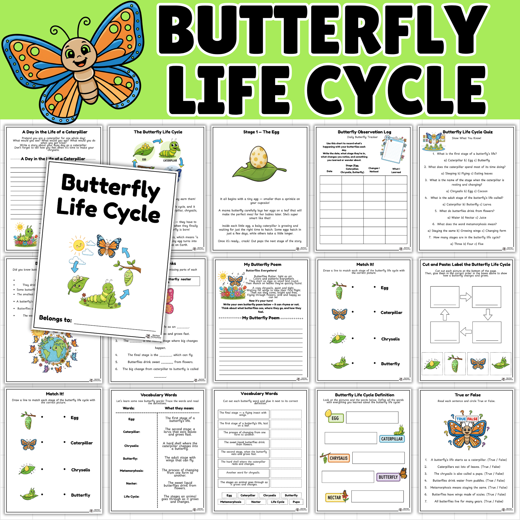 Butterfly Life Cycle Worksheets