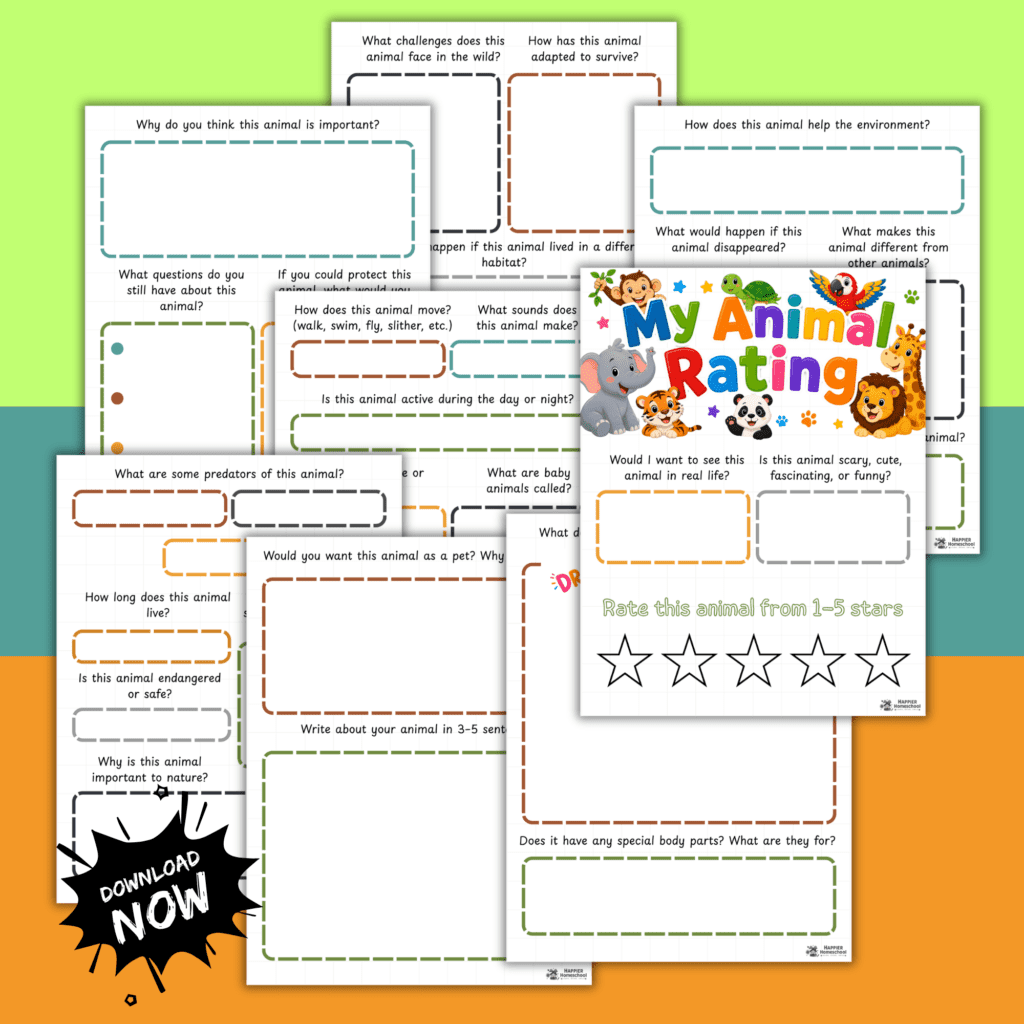 Animal Report Template