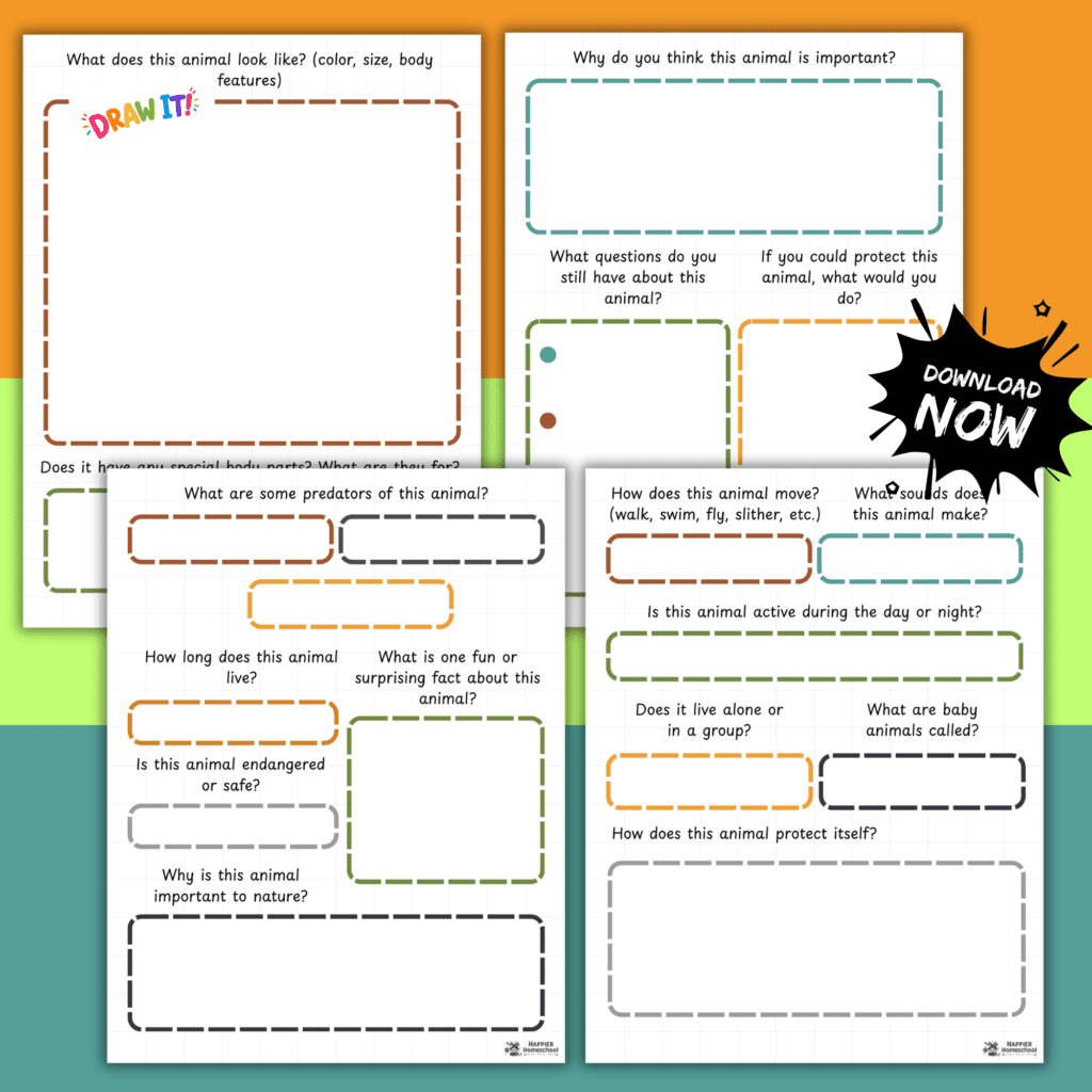 Animal Report Template